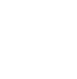 Rally Esports